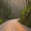 Hutan